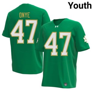 #47 Notre Dame Fighting Irish Green Youth College Football 2026 Jason Onye Jersey 385972-313