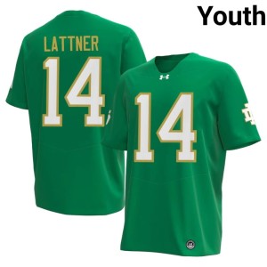 #14 Youth Green Limited Johnny Lattner Notre Dame College Football Jerseys 702081-454